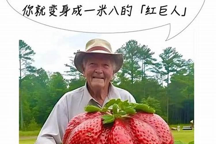 膨果用氮肥还是钾肥