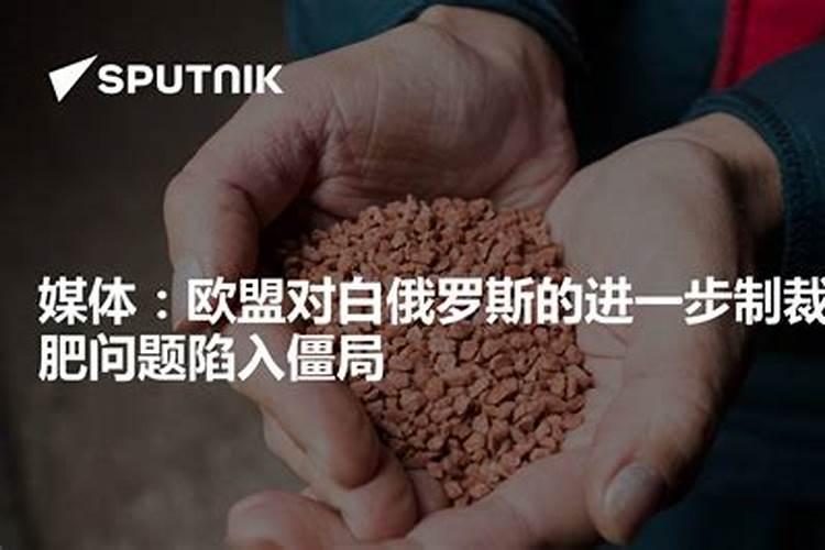 什么时间喷大蒜叶面肥
