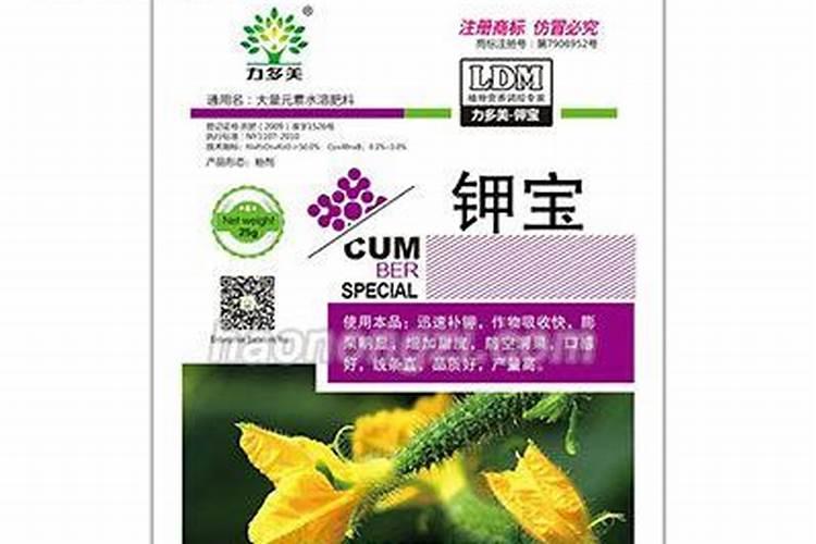 种菜多久浇一次酵素水