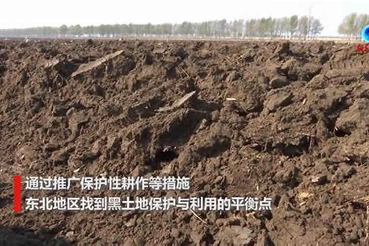 黄豆种子要一天要多少肥