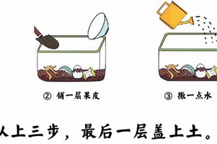 自制磷肥有哪些