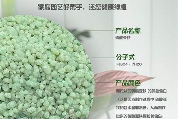 玻璃翠浇什么肥料合适