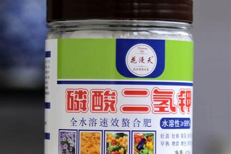 在家养殖铁树使用什么肥料好？
