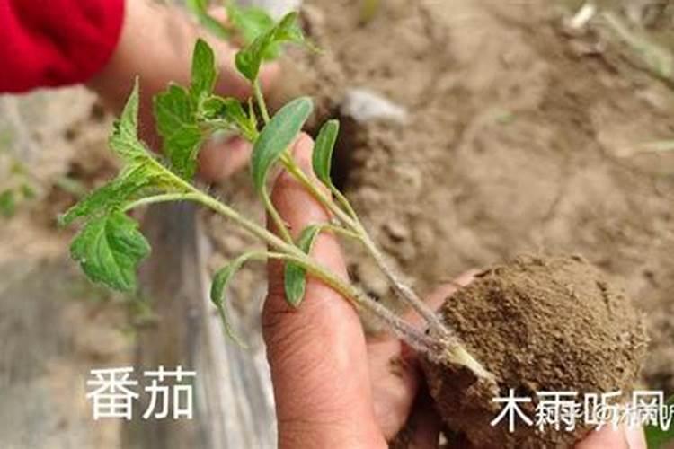 青岛海邦肥料有限公司怎么样？