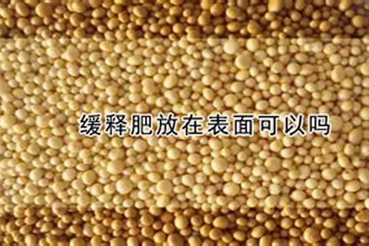 绿萝专用肥可以给藏红花施肥吗？