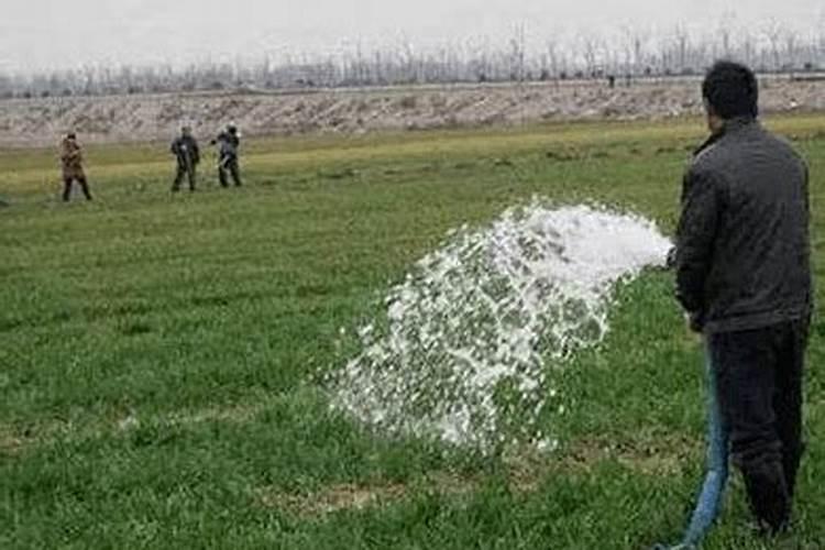 种植小麦提前几天撒上肥料在耕地可以吗？