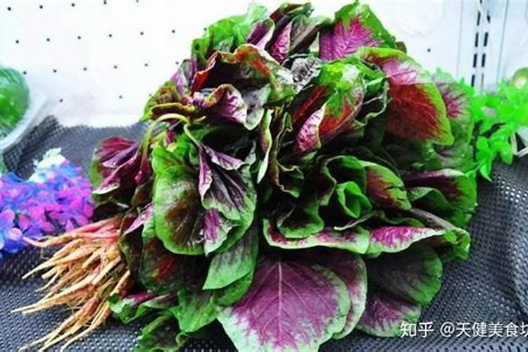 富贵竹可以用土栽培吗