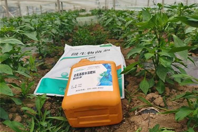 国内比较好水溶肥厂家有哪些？