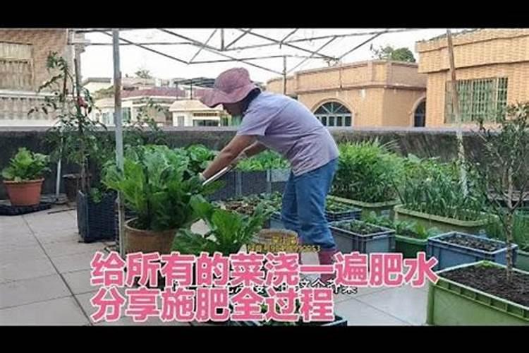 茄子如何进行肥水管理增产的方法是什么