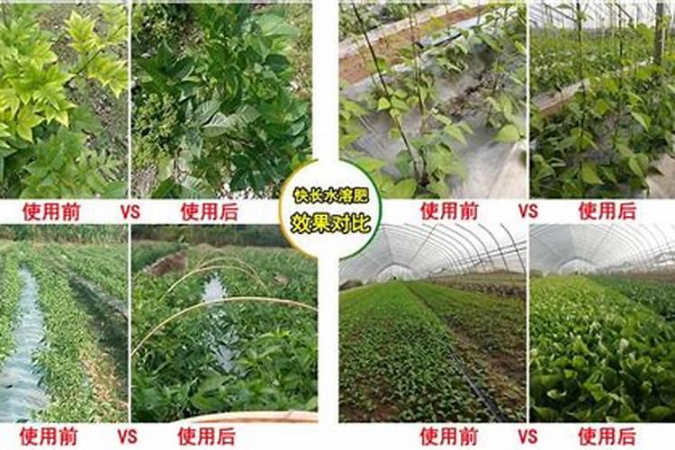 施用氮肥的方法