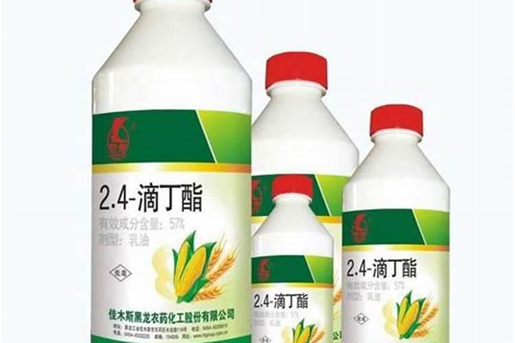 圈叶病怎样防治？
