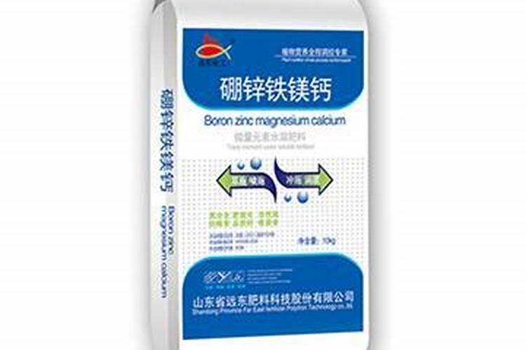 河北大蒜批发市场在哪里？