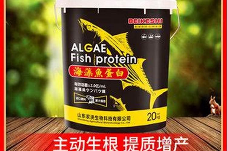 柑橘树上可以冲施矿源和鱼蛋白吗？