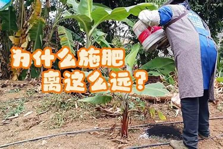 驴友在鄱阳湖湖滩发现江豚尸体,旁边还有许多死鱼,可能带来哪些影响...