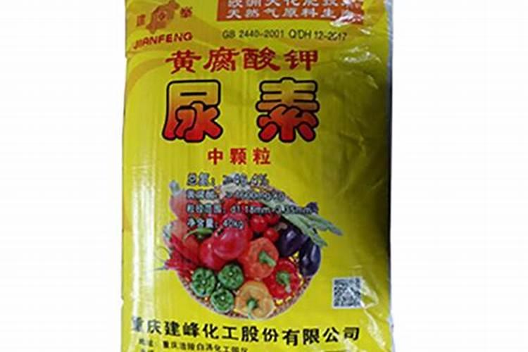 怎样给蔬菜施尿素