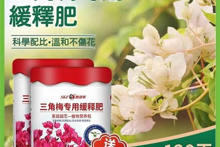 三角梅用什么肥料催花