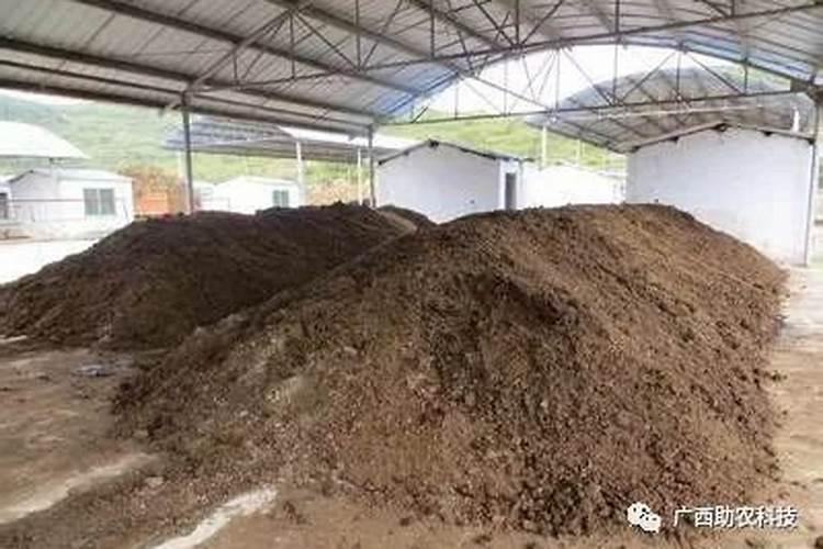 牛粪堆放多久可以做肥料