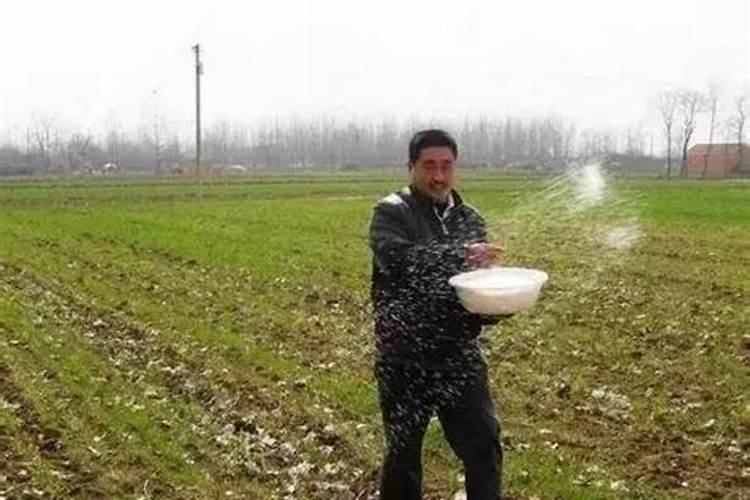 怎么让土壤变得肥沃