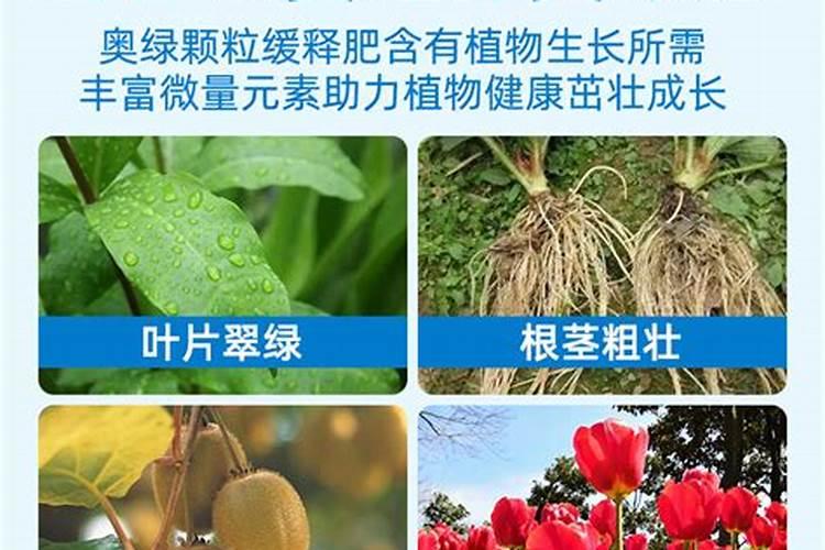 奥绿a2使用方法 奥绿A2缓释肥使用方法介绍
