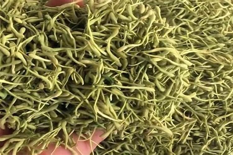大南瓜的养殖方法和注意事项 看完你就知道了