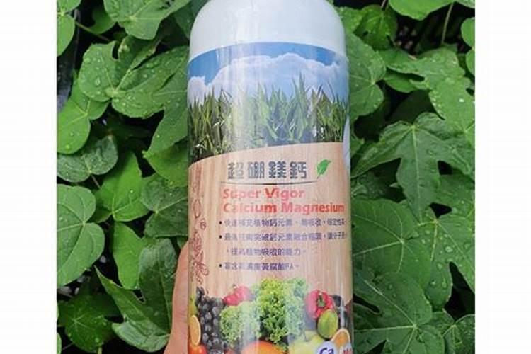 温室桃树落花后施几次肥‘/