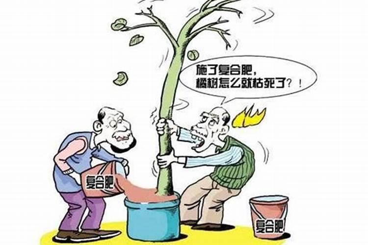 土豆叶片长黑斑,叶子卷曲啥原因