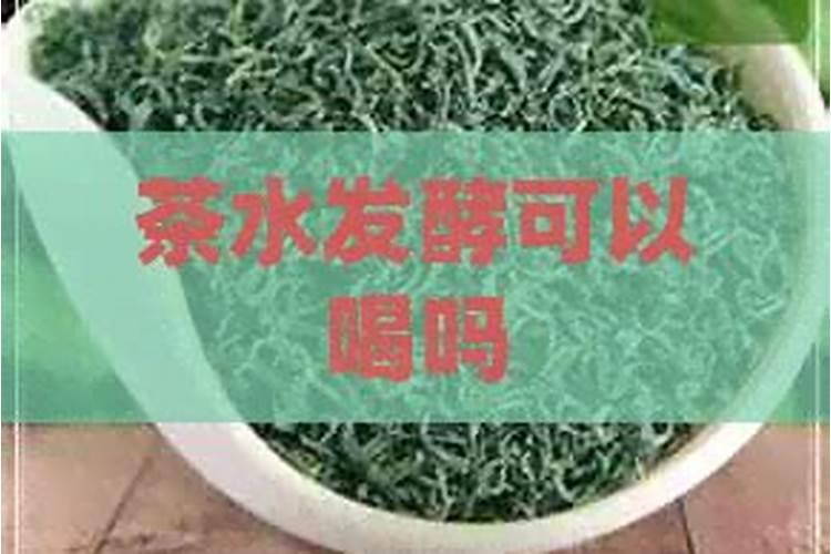 西瓜坐住开始,可以开始喷施叶面肥了吗？