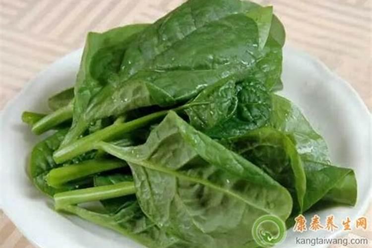 木耳菜的功效与作用及营养价值是什么