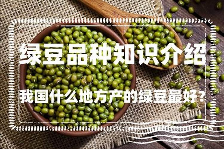 哪种钾肥最好(市面上常见都最好的钾肥是什么钾肥)