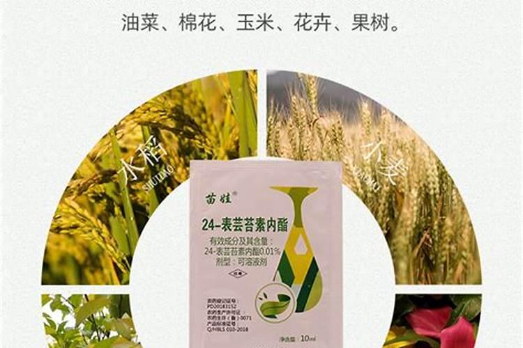 我的体质适合食用蜂花粉吗？