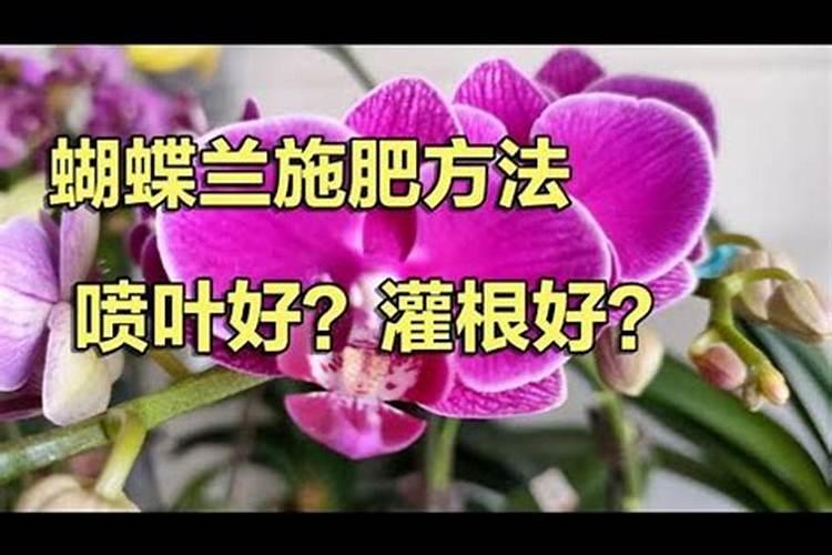 误食硫酸钾型复合肥怎么办？