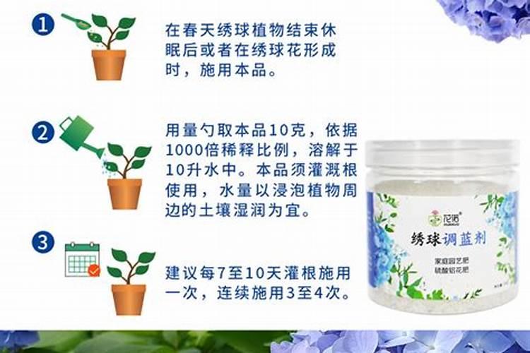 绣球调蓝色的常用方法及用量(绣球花调颜色蓝色最佳方法)