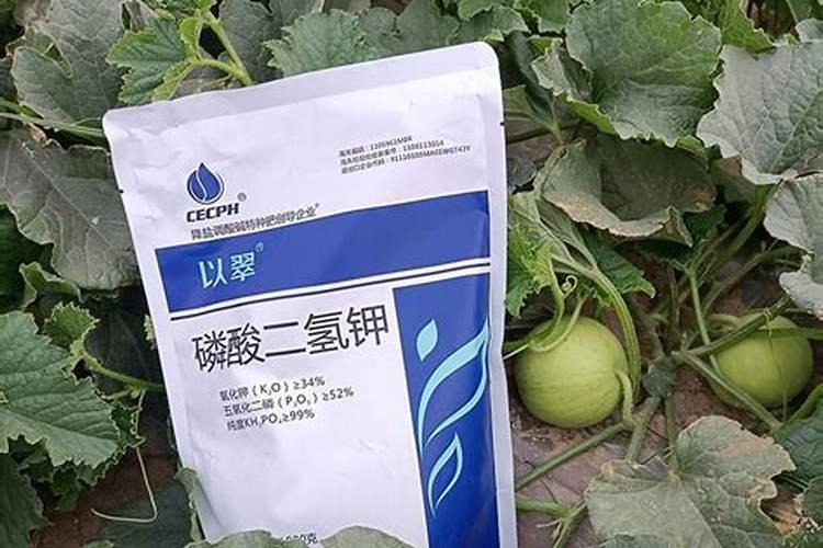 硼肥我国硼肥品种与资源情况