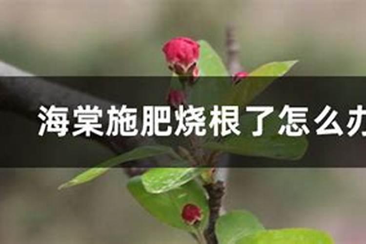 河北圆融生物科技有限公司怎么样？