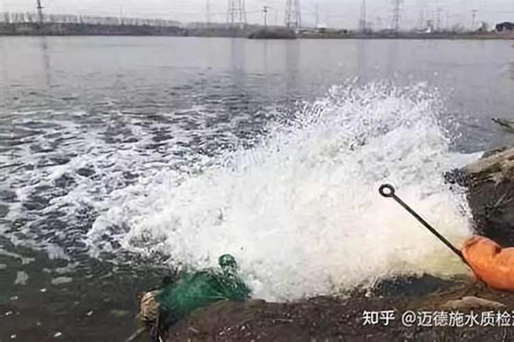 冬天小麦打药如何浇水 冬天小麦打药怎么浇水
