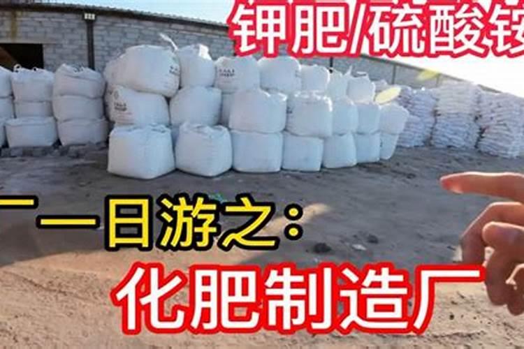 西红柿定植后几天浇缓苗水