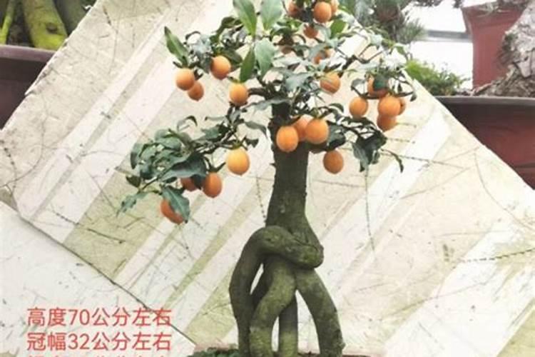 使用铵态氮肥应注意什么
