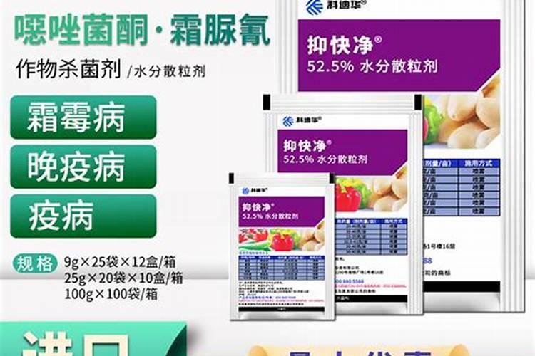 大葱干尖黄叶打什么药