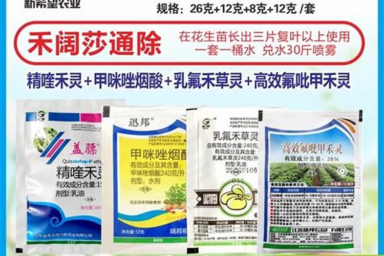 生地黄什么时候种植 中药生地的种植方法