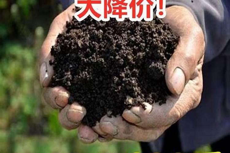 用什么肥种菜生长快