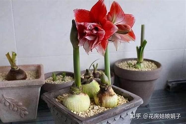 土地神的民间崇拜