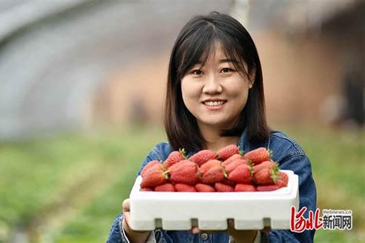 紫苏可以养在鱼缸里吗？