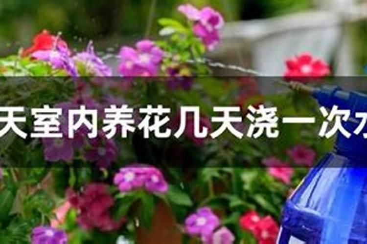 绿化用的园林有机肥可以种菜吗