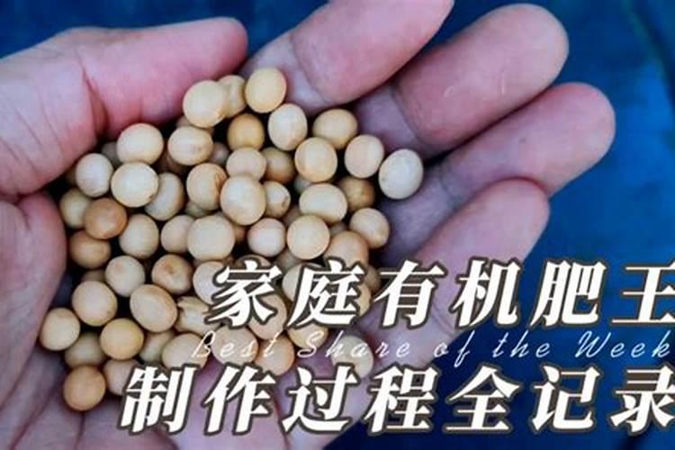 多肉夏天可以施肥吗 用什么肥料比较好