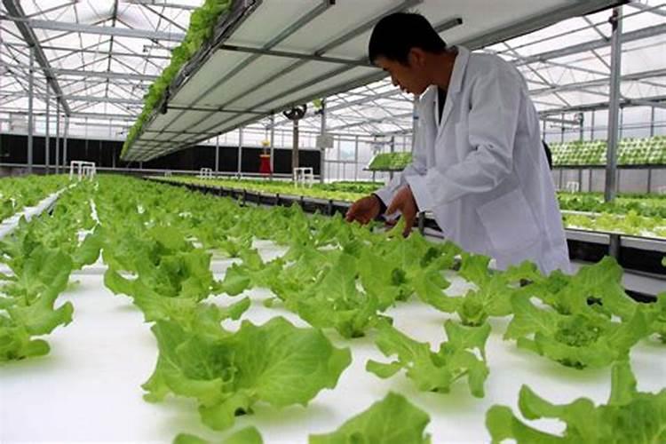 怎么给植物施肥 给花施肥的正确方法