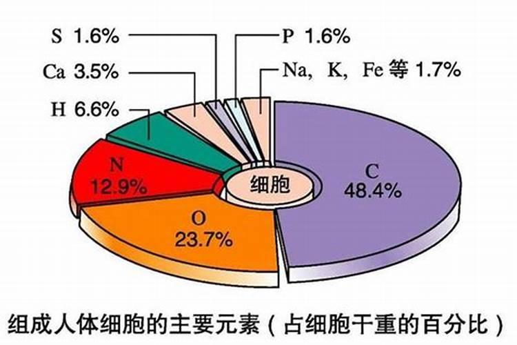 家里养的像玉米叶子一样的绿植是什么？