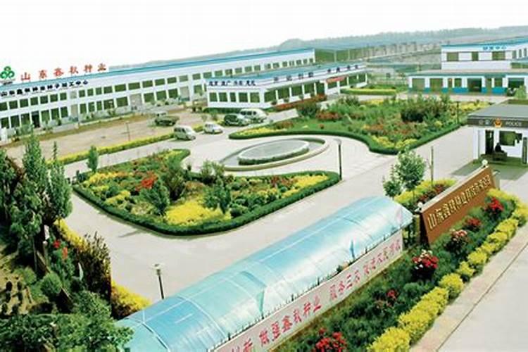 水溶肥十大名牌,摩力水溶肥效果极好