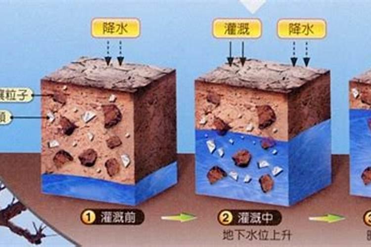 庄稼地长期连作种植,酸化、盐化、病菌问题严重,如何改良土壤？