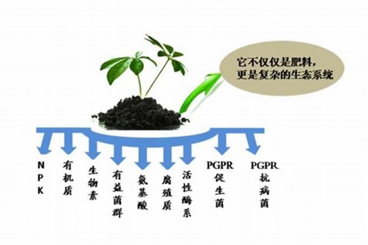 葡萄种植中几种严重施肥误区