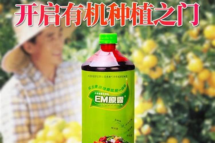 学会沤制三款肥水,以后养花的肥料不用买啦